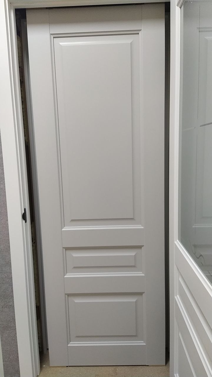 Межкомнатная дверь Эрмитаж-2 Платина (ПГ)