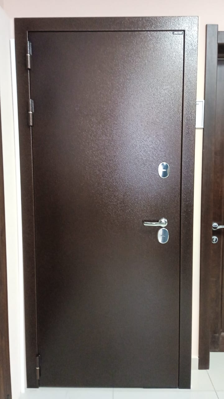 Входная дверь Терма нью